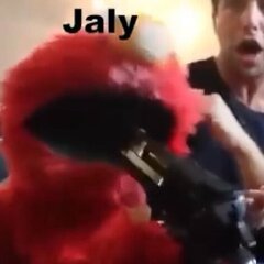 haly